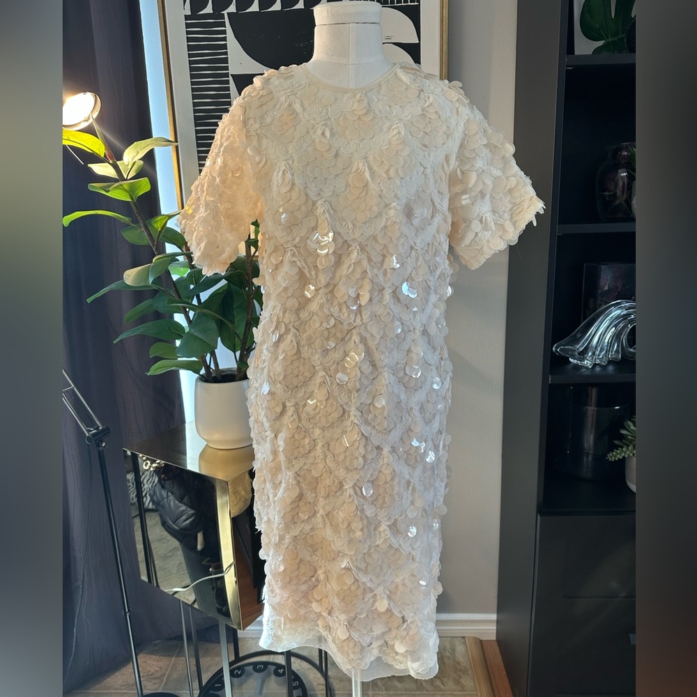 Zara Limited Edition Sequin Tulle Tunic Dress